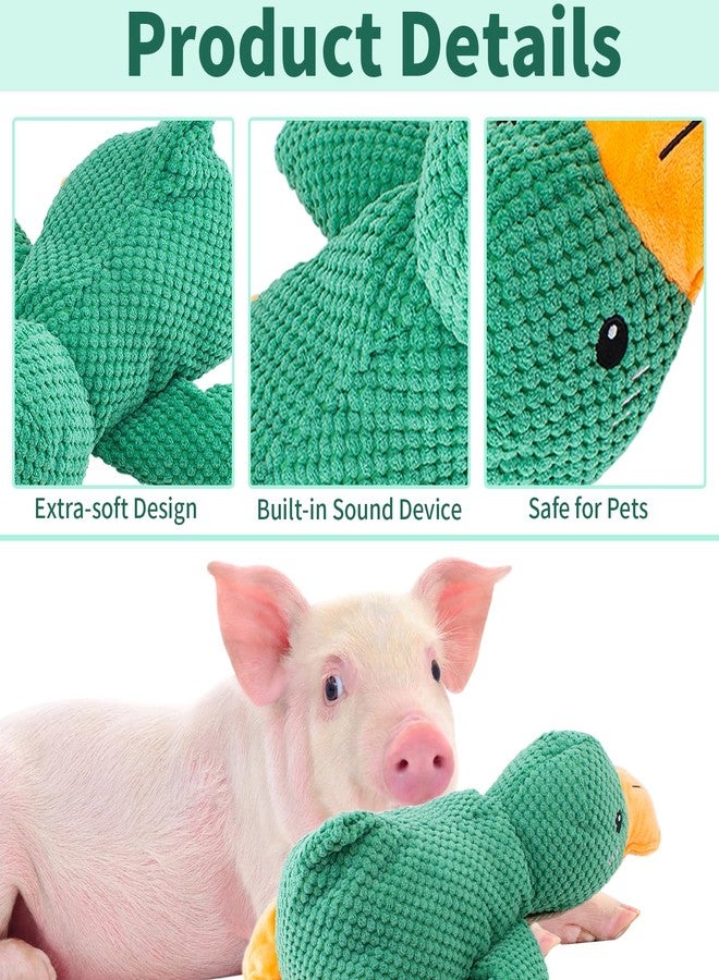 OOXYG Pig Toy - Toys for Pigs, Duck Squeaky Pig Toy - Calming Duck Toys for Mini Pigs, Interactive Pig Chew Plush Enrichment Ducks for Pet Pigs Supplies to Keep Them Busy - Image 5